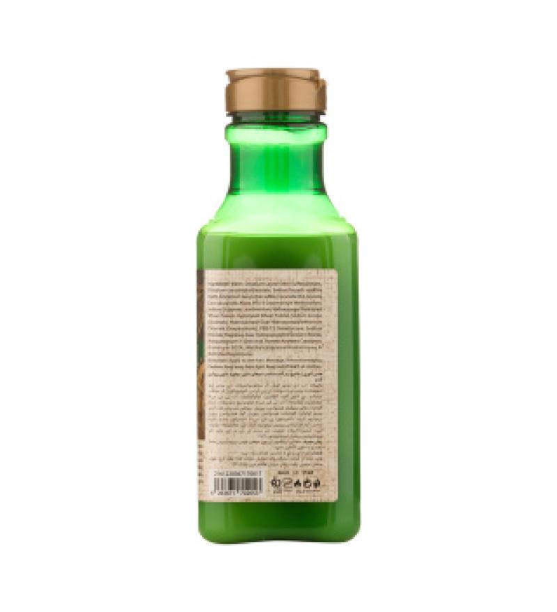 شامپو نرم کننده موهای دارای موخوره هلس تئوری حاوی پروتئین گندم 385 میلی لیتر - تصویر 3